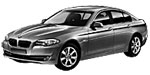 BMW F10 P1B6A Fault Code